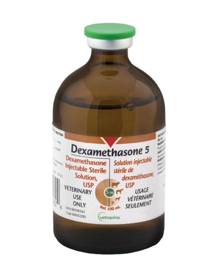 Cortisone injection for cats top